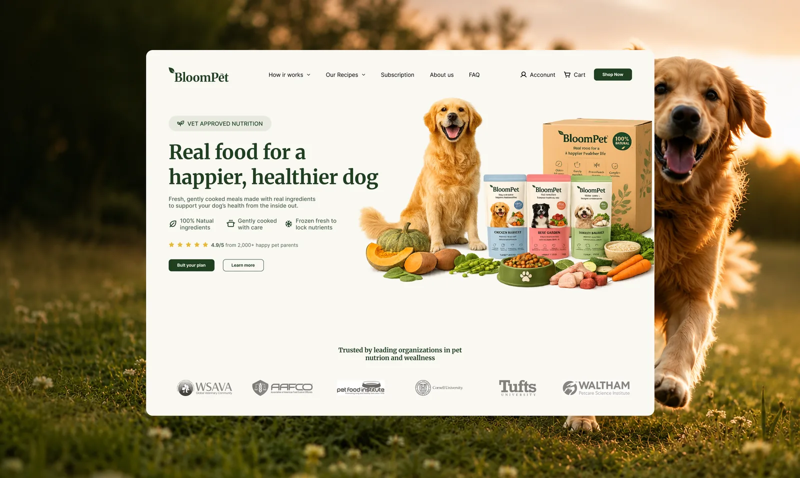 BloomPet — home do e-commerce